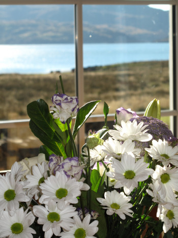 Flowers and View