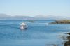 Luing Boat Trips
