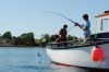 Luing Boat Trips, Mackerel Fishing