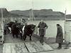 Cuan Ferry