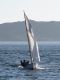 Sailing in Black Mill Bay